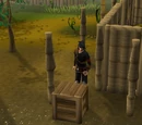 Pirate's Treasure