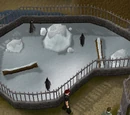 Penguin (race)