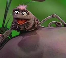 Sid Spider