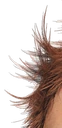 Rumpel.png