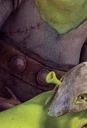 Shrek forever after.jpg