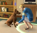 Animal