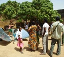 Energie Solaire au Burkina Faso : Actualité Energie