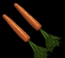 Carrots