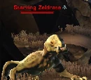 Zeldrate