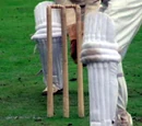 Cricket
