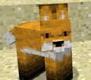 Foxes