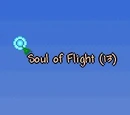 Soul of Flight