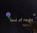 Soul of Night