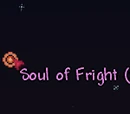 Soul of Fright