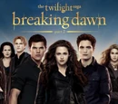 Breaking Dawn - Part 2 movie reviews