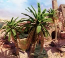 Images of Oasis