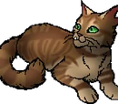 Crookedstar