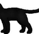 Breezepelt