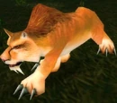 Feral Mountain Lion