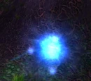 Forest Wisp