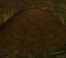 Loose Soil