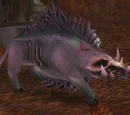 Plagued Swine