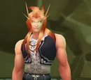 Trader Endernor