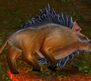 Bellygrub