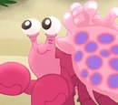 Snappy the Hermit Crab