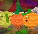 Elemelons