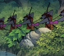Wolf Arrowmen