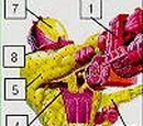 Mega-Viper