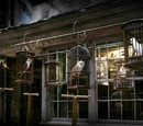 Eeylops Owl Emporium