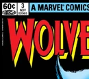 Wolverine Vol 1 3