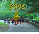 Episode 3895