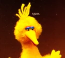 Sesame Street plush (CBS Toys)