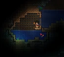Planked Wall