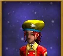 Wimple of Whimsy