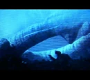 Synthetic