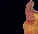 Squeez Bacon