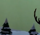 Donner