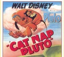 Cat Nap Pluto