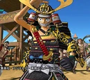 One Piece: Pirate Warriors/DLC