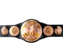 Tag Team Championships