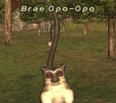 Brae Opo-Opo