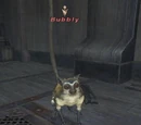 Bubbly