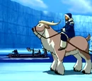 Avatar: The Last Airbender