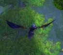 Druide der Kralle