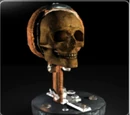Skull of Ivo Shandor