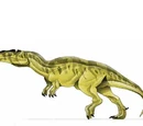 Yangchuanosaurus