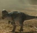 Pachycephalosaurus