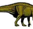 Altirhinus