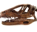 Forum:Deinonychus vs Velociraptor