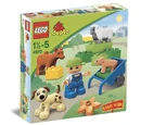 4972 Animals